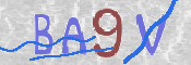 CAPTCHA-Bild